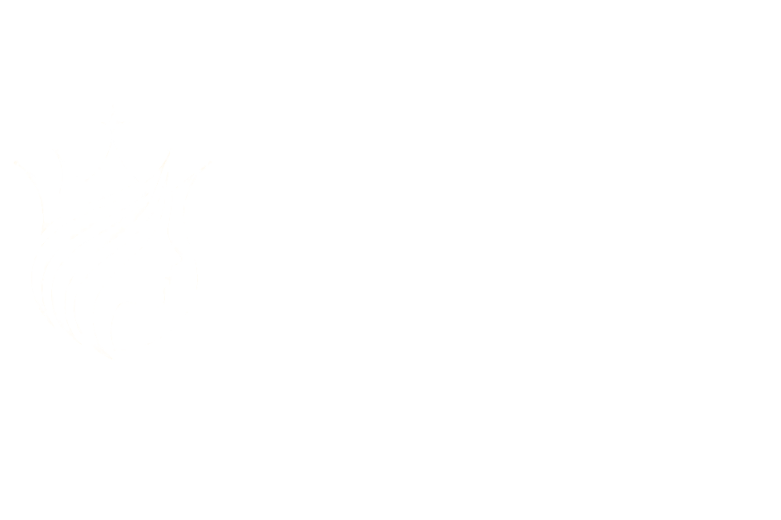 Mujeres de Élite